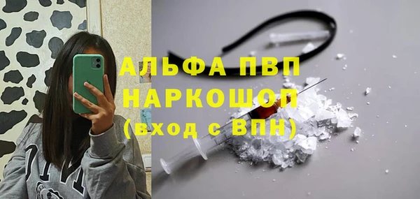 стаф Дегтярск