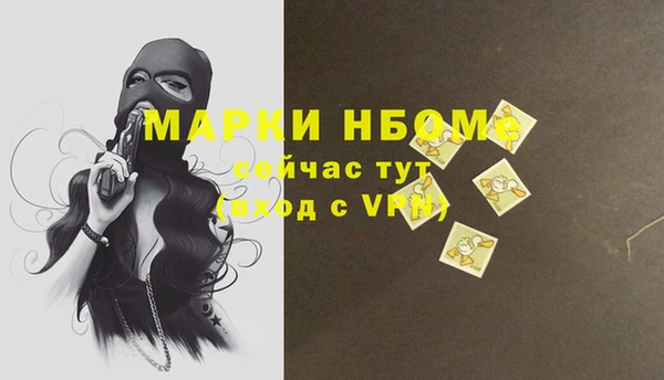 хмурый Богородицк