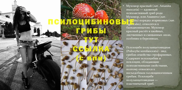 хмурый Богородицк