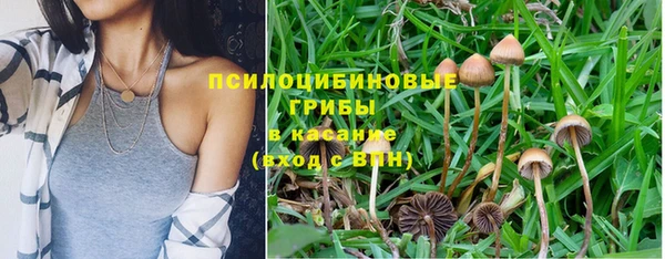 синтетический гашиш Богородск