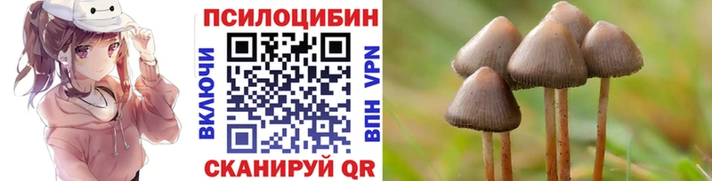 Галлюциногенные грибы прущие грибы  Новопавловск 